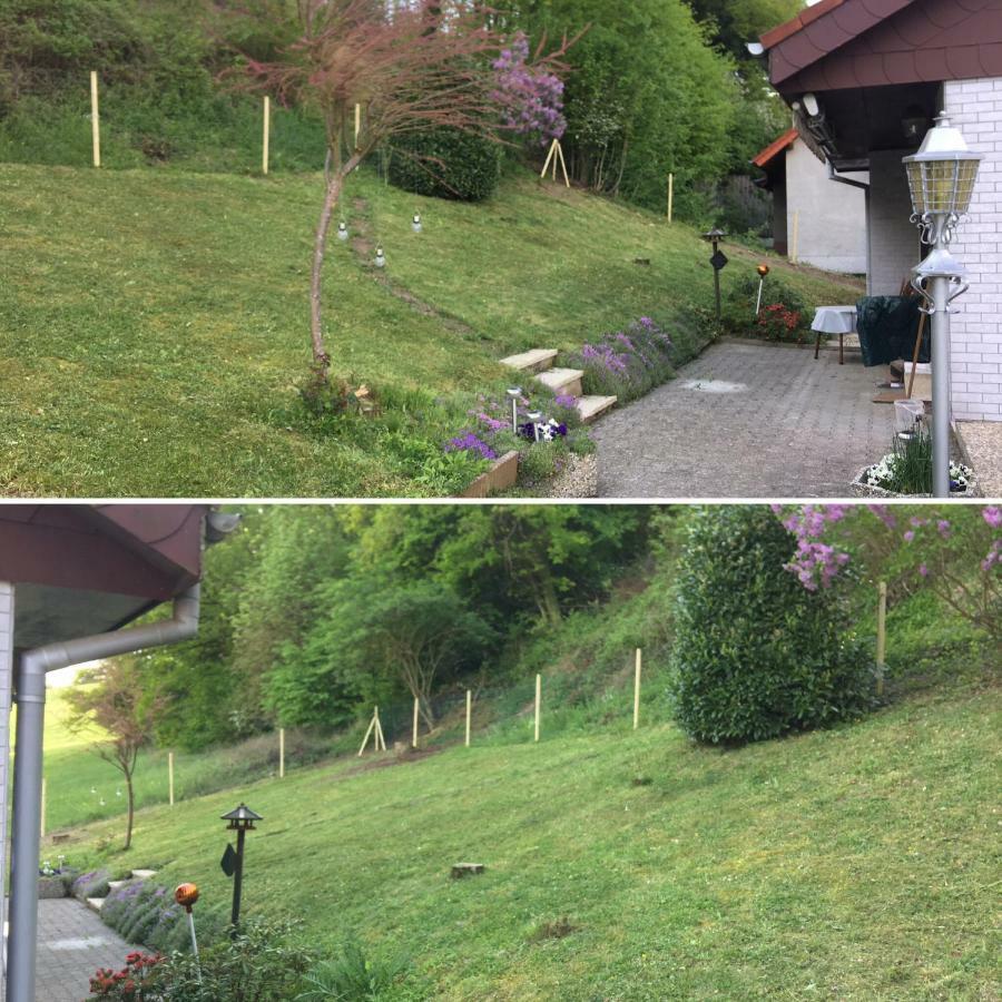Ferienhaus Moscheltal Villa Waldgrehweiler Dış mekan fotoğraf